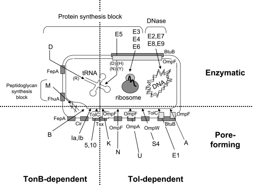 FIG. 3.