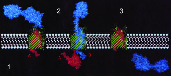 FIG. 9.