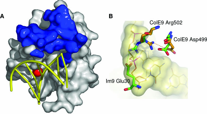 FIG. 22.