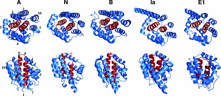 FIG. 16.