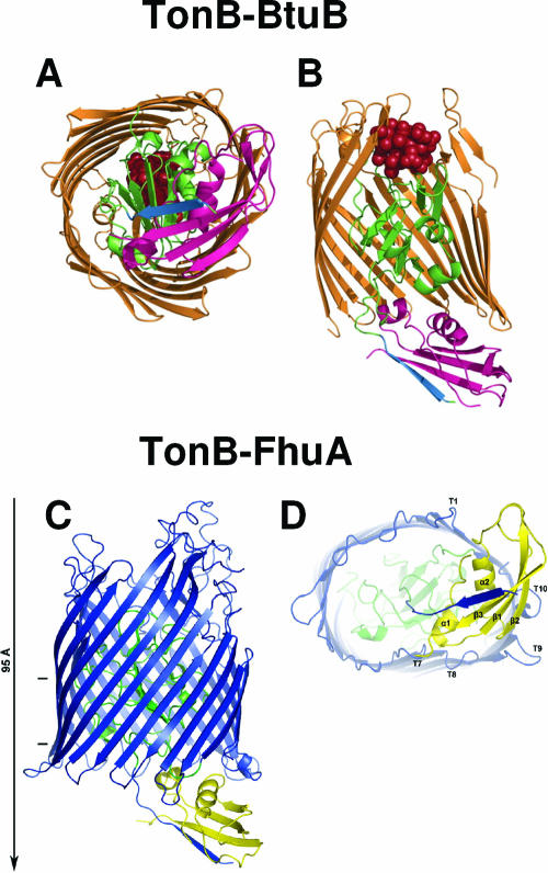 FIG. 10.