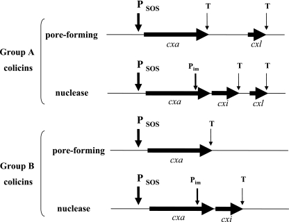 FIG. 1.