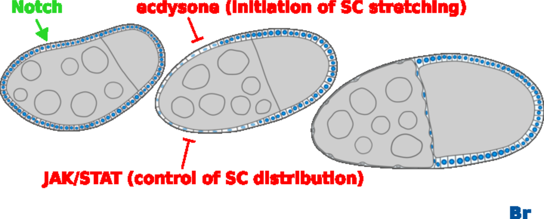 Figure 9.