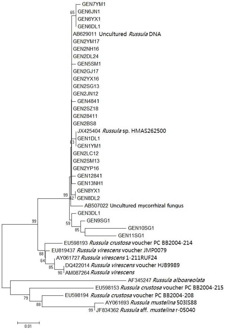 Figure 2