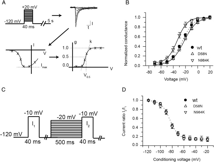 Figure 3