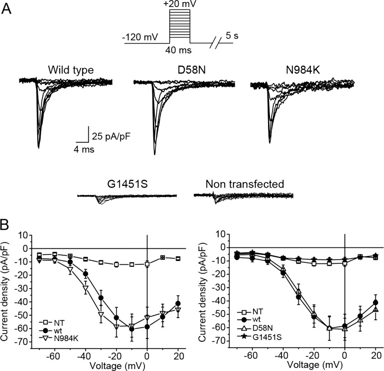 Figure 2