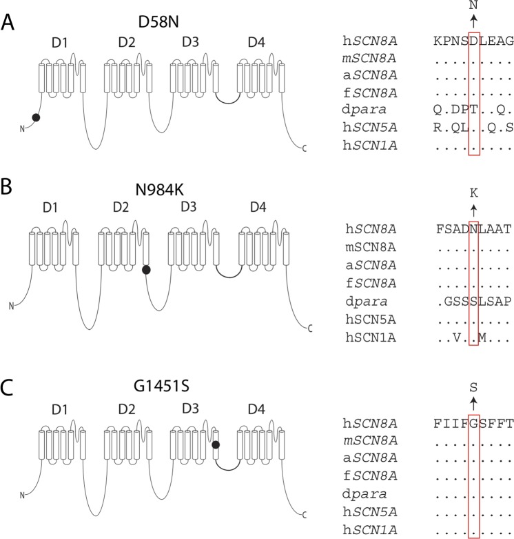 Figure 1