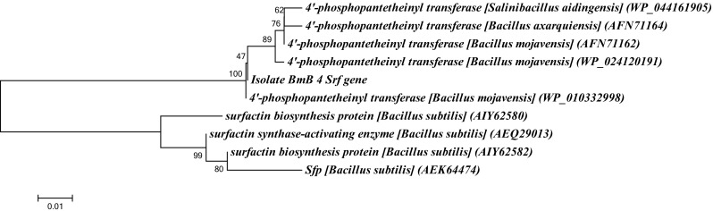 Fig. 4