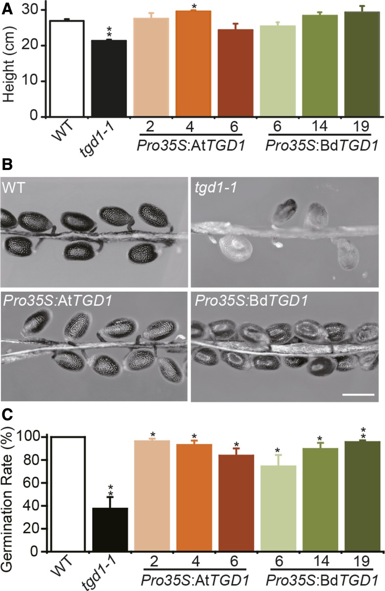 Figure 3.