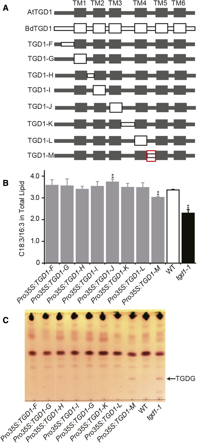 Figure 6.