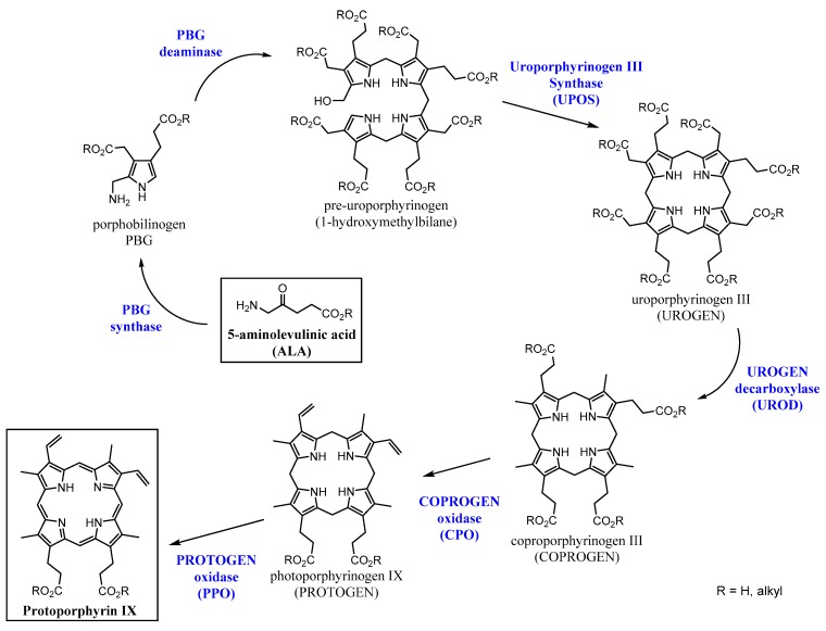 Scheme 1