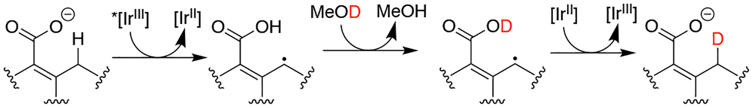 Scheme 2.