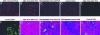 Fig. 6.