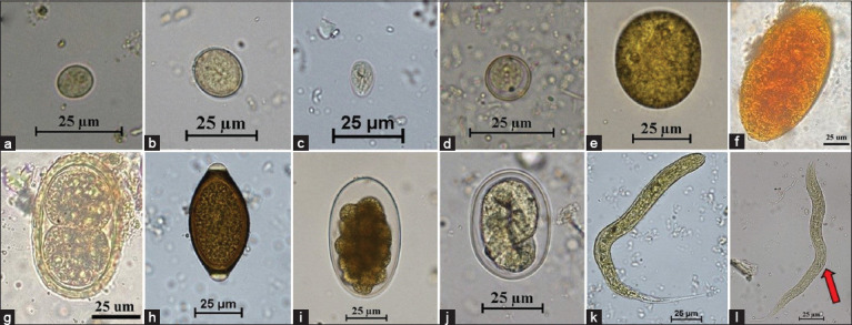 Figure-3