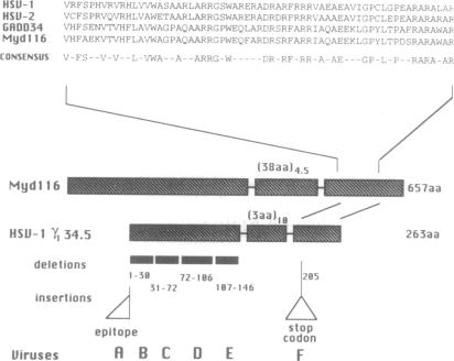 graphic file with name pnas01134-0039-a.jpg