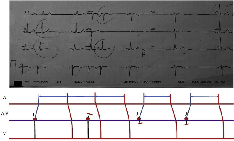 Fig. 4