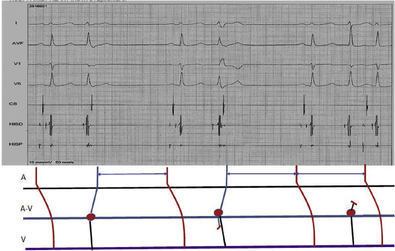 Fig. 3