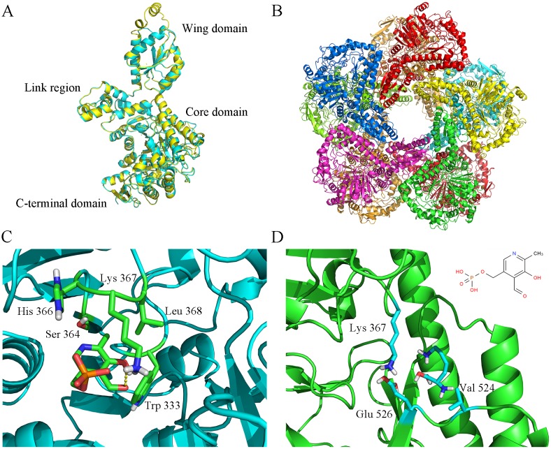 Fig 3