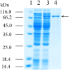 Fig 4
