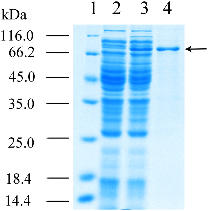 Fig 4