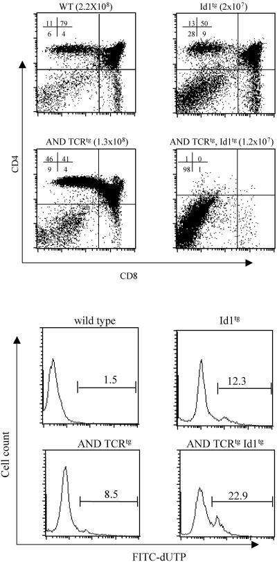 FIG. 8.