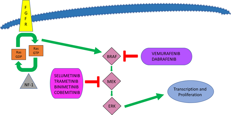 Figure 1 (original):