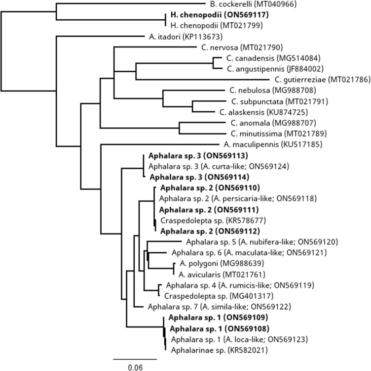 Figure 4