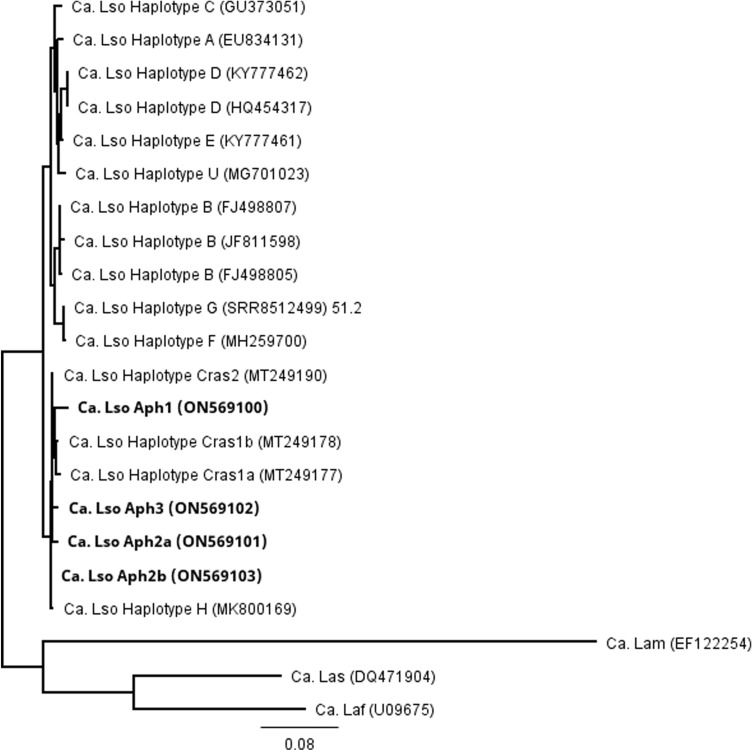 Figure 2