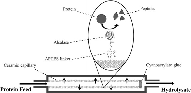 Fig. 1