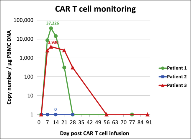 Figure 3