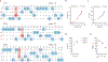 Extended Data Fig. 2 |