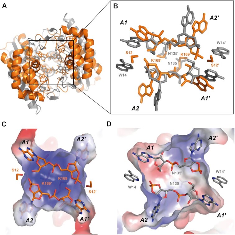 Figure 5.