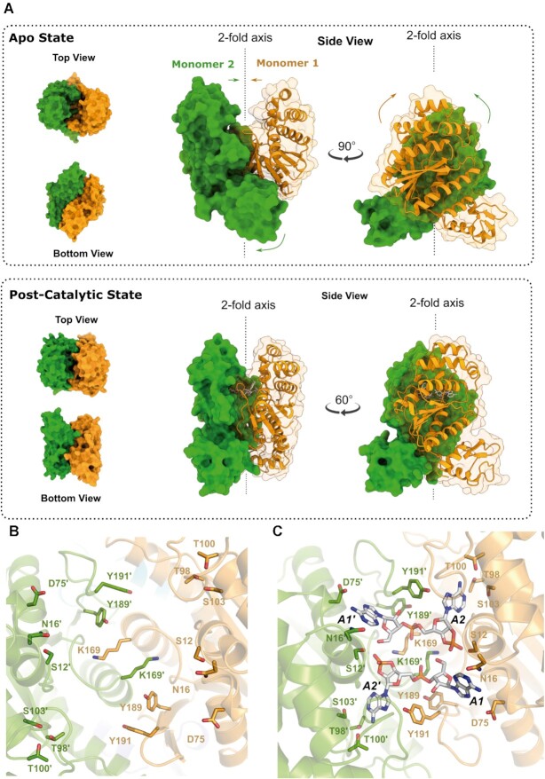 Figure 3.