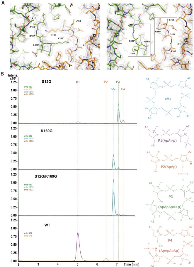 Figure 4.