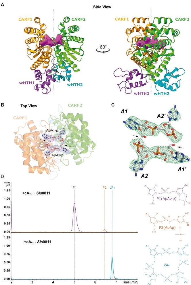 Figure 2.