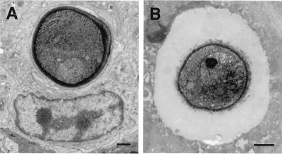 FIG. 10