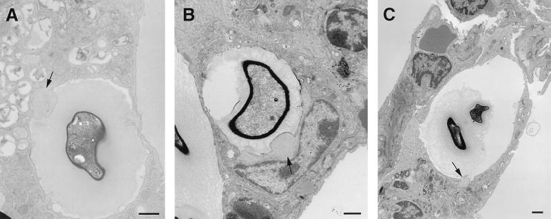 FIG. 6