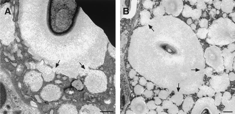 FIG. 8