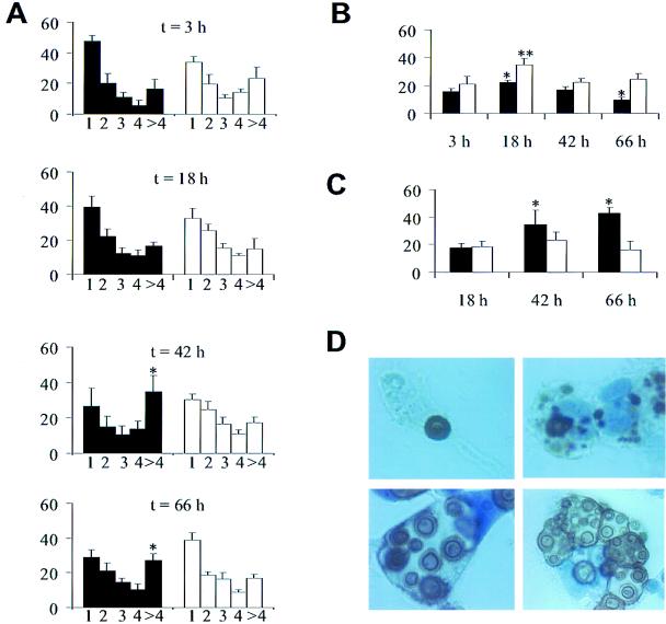 FIG. 11