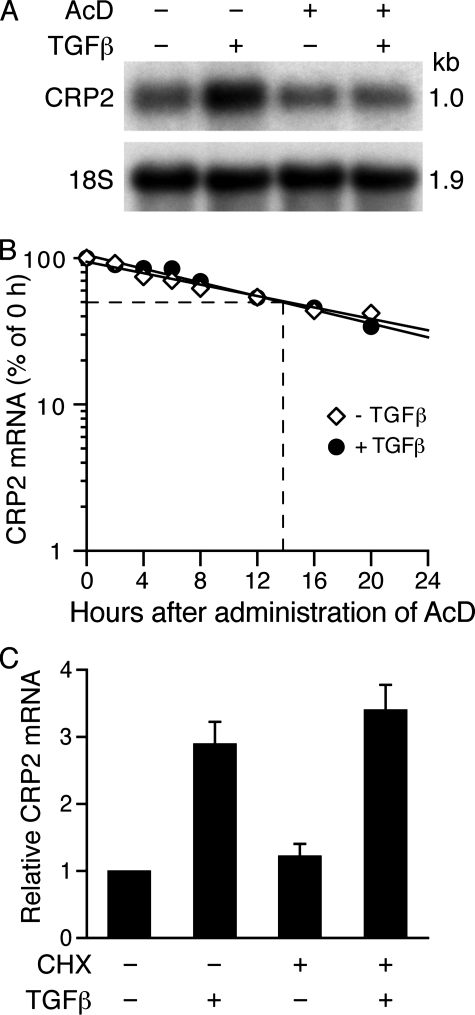 FIGURE 2.