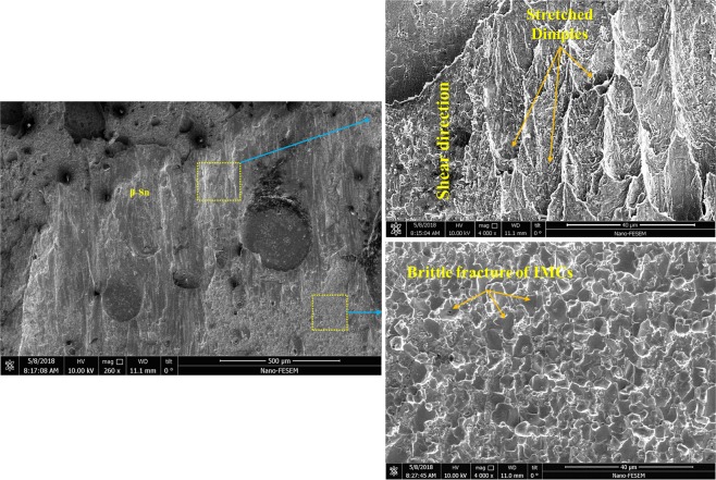 Figure 23