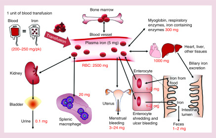 Figure 1. 