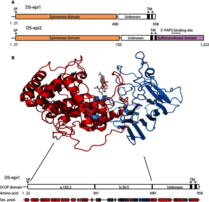 Fig. 2