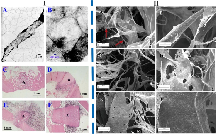 Fig. 12