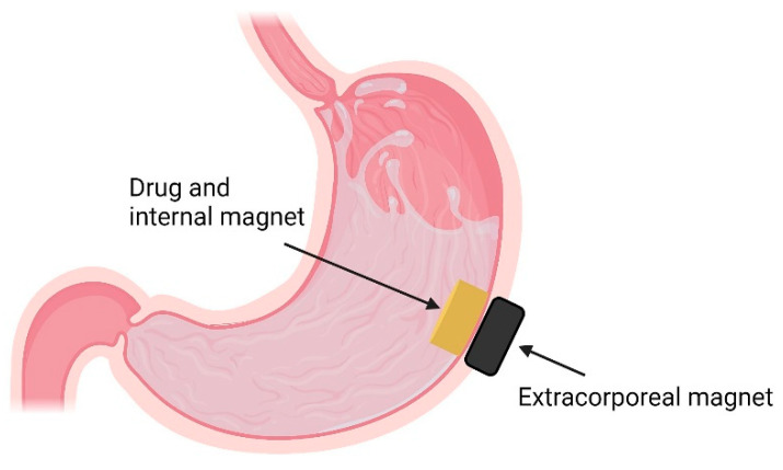 Figure 10