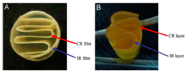 Figure 12