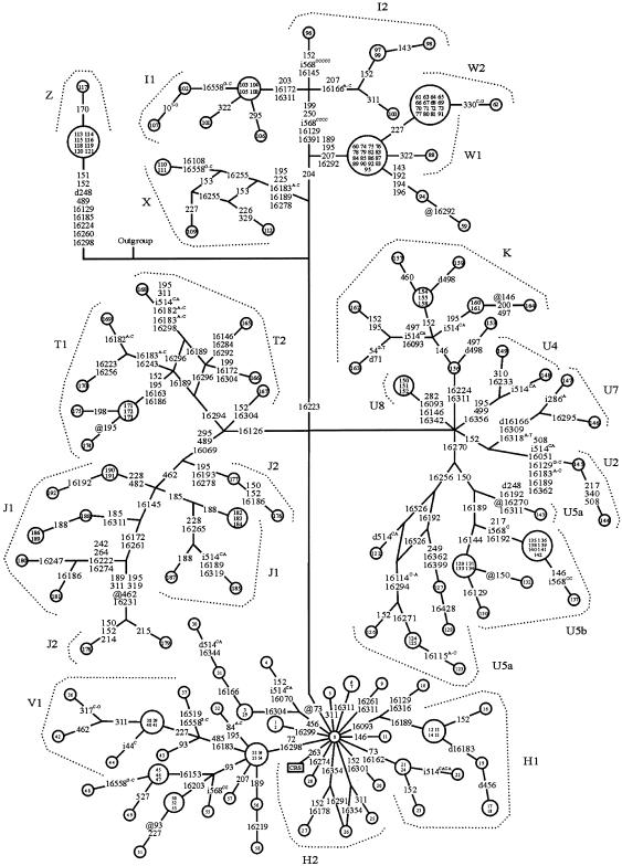 Figure  2