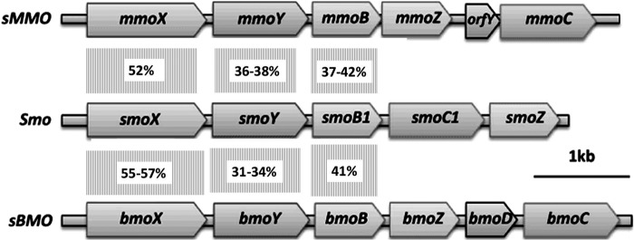 FIG 1