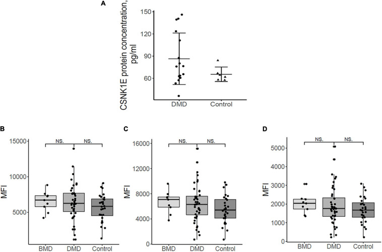 FIGURE 3