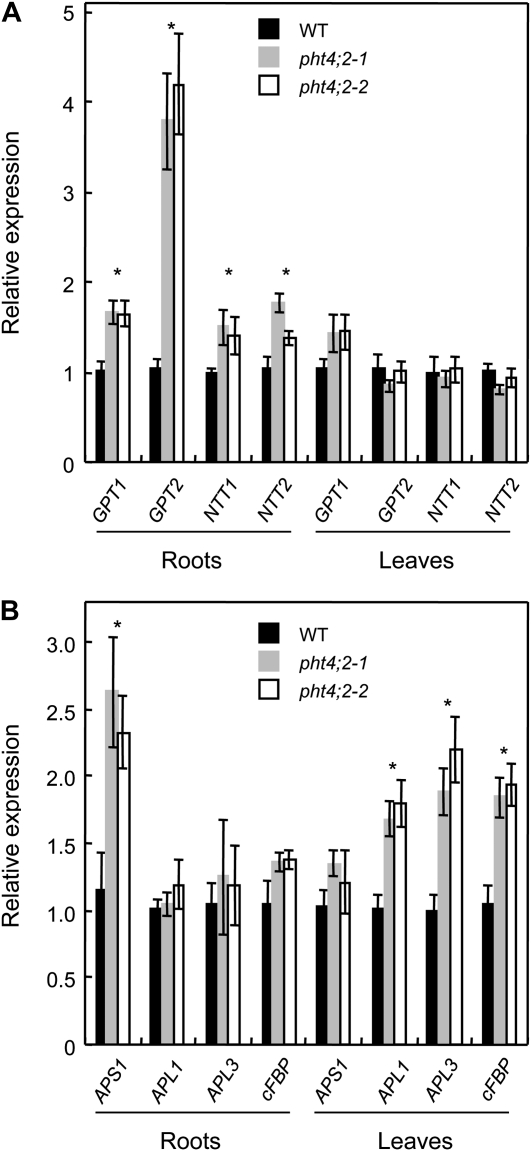 Figure 6.